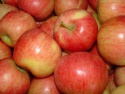 fresh fuji apple for sale - product's photo
