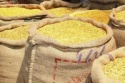 lentils - product's photo