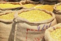 lentil - product's photo