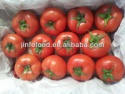 fresh tomatoes - product's photo