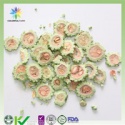 bitter melon slice - product's photo