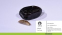 mozafati dates - product's photo