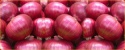 red onion - product's photo